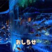 ヒメ日記 2025/08/03 21:49 投稿 もえ MIKADO