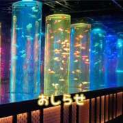 ヒメ日記 2025/08/04 21:45 投稿 もえ MIKADO