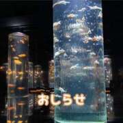 ヒメ日記 2025/08/05 21:41 投稿 もえ MIKADO