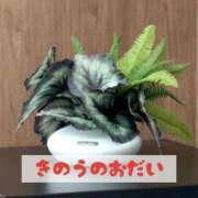 ヒメ日記 2025/08/10 18:21 投稿 もえ MIKADO