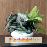 ヒメ日記 2025/08/13 19:21 投稿 もえ MIKADO