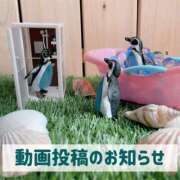 ヒメ日記 2025/08/15 19:51 投稿 もえ MIKADO