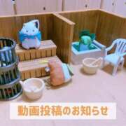 ヒメ日記 2025/08/17 19:55 投稿 もえ MIKADO