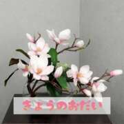 ヒメ日記 2025/09/11 21:29 投稿 もえ MIKADO