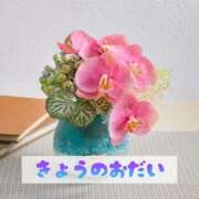 ヒメ日記 2025/09/14 19:41 投稿 もえ MIKADO