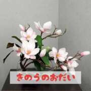 ヒメ日記 2025/09/21 15:02 投稿 もえ MIKADO