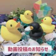 ヒメ日記 2025/09/26 20:05 投稿 もえ MIKADO