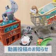 ヒメ日記 2025/09/28 23:21 投稿 もえ MIKADO