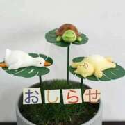 ヒメ日記 2025/10/04 19:02 投稿 もえ MIKADO