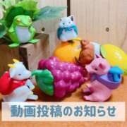 ヒメ日記 2025/10/04 19:51 投稿 もえ MIKADO