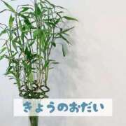 ヒメ日記 2025/10/08 17:21 投稿 もえ MIKADO