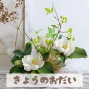 ヒメ日記 2025/10/11 18:21 投稿 もえ MIKADO