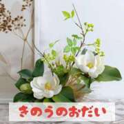 ヒメ日記 2025/10/14 20:21 投稿 もえ MIKADO