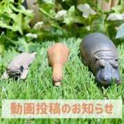 ヒメ日記 2025/10/26 20:04 投稿 もえ MIKADO