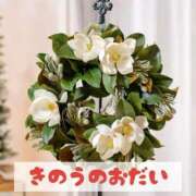 ヒメ日記 2025/11/08 15:21 投稿 もえ MIKADO