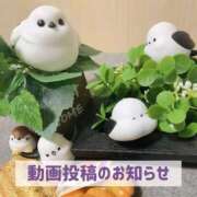 ヒメ日記 2025/11/11 19:51 投稿 もえ MIKADO