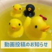 ヒメ日記 2025/11/13 19:51 投稿 もえ MIKADO