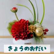 ヒメ日記 2025/11/14 20:25 投稿 もえ MIKADO