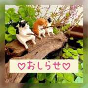 ヒメ日記 2025/11/18 19:03 投稿 もえ MIKADO