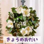 ヒメ日記 2025/11/21 13:51 投稿 もえ MIKADO