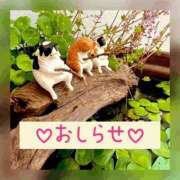 ヒメ日記 2025/11/22 19:09 投稿 もえ MIKADO