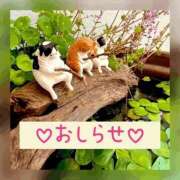 ヒメ日記 2025/11/23 19:07 投稿 もえ MIKADO