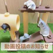 ヒメ日記 2025/12/03 19:51 投稿 もえ MIKADO