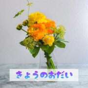 ヒメ日記 2025/12/05 13:51 投稿 もえ MIKADO