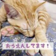 ヒメ日記 2025/12/09 12:36 投稿 もえ MIKADO