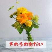 ヒメ日記 2025/12/12 15:26 投稿 もえ MIKADO