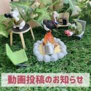 ヒメ日記 2025/12/13 19:51 投稿 もえ MIKADO