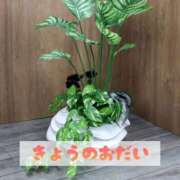 ヒメ日記 2025/12/24 15:41 投稿 もえ MIKADO