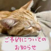 ヒメ日記 2025/12/24 19:31 投稿 もえ MIKADO