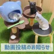 ヒメ日記 2026/01/04 19:51 投稿 もえ MIKADO