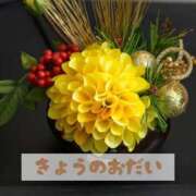 ヒメ日記 2026/01/10 19:50 投稿 もえ MIKADO