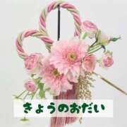 ヒメ日記 2026/01/19 16:53 投稿 もえ MIKADO