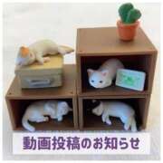 ヒメ日記 2026/02/07 19:51 投稿 もえ MIKADO