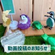 ヒメ日記 2026/02/13 19:51 投稿 もえ MIKADO