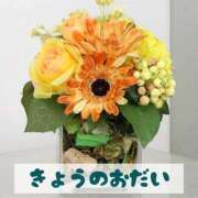 ヒメ日記 2026/02/16 22:35 投稿 もえ MIKADO