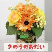 ヒメ日記 2026/02/19 22:01 投稿 もえ MIKADO