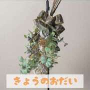 ヒメ日記 2026/03/01 20:31 投稿 もえ MIKADO