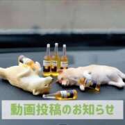 ヒメ日記 2026/03/11 20:02 投稿 もえ MIKADO