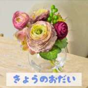 ヒメ日記 2026/03/12 16:36 投稿 もえ MIKADO