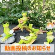 ヒメ日記 2026/03/13 19:51 投稿 もえ MIKADO