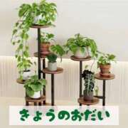 ヒメ日記 2026/04/04 22:35 投稿 もえ MIKADO