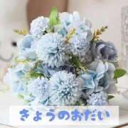 ヒメ日記 2026/04/05 21:01 投稿 もえ MIKADO