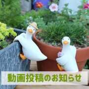 ヒメ日記 2026/04/06 20:01 投稿 もえ MIKADO