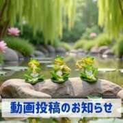 ヒメ日記 2026/04/12 19:51 投稿 もえ MIKADO