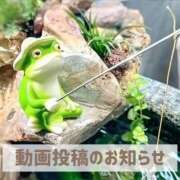 ヒメ日記 2026/05/18 19:51 投稿 もえ MIKADO
