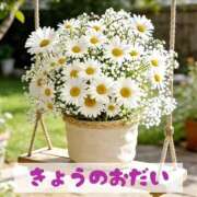 ヒメ日記 2026/05/21 22:25 投稿 もえ MIKADO